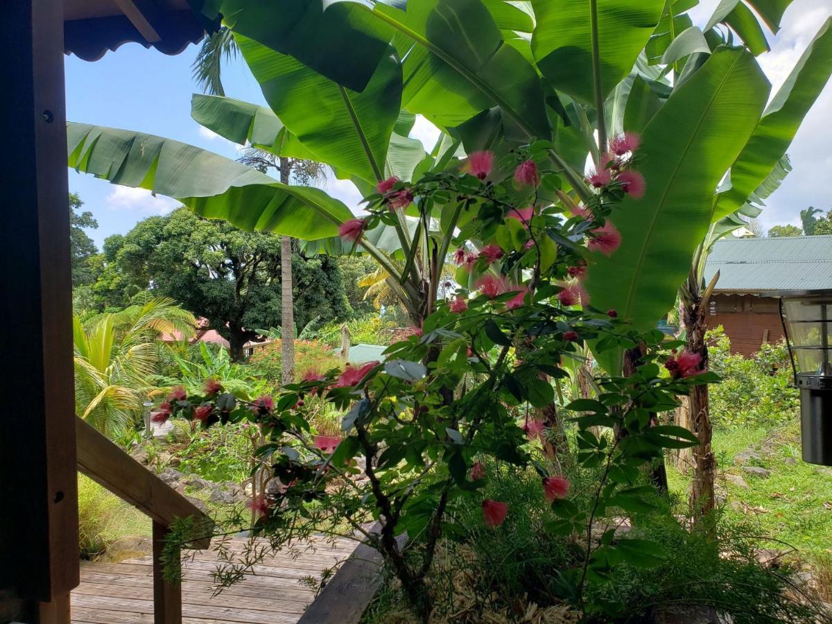 Les Bananes Vertes Ecolodges Saint-Claude Luaran gambar