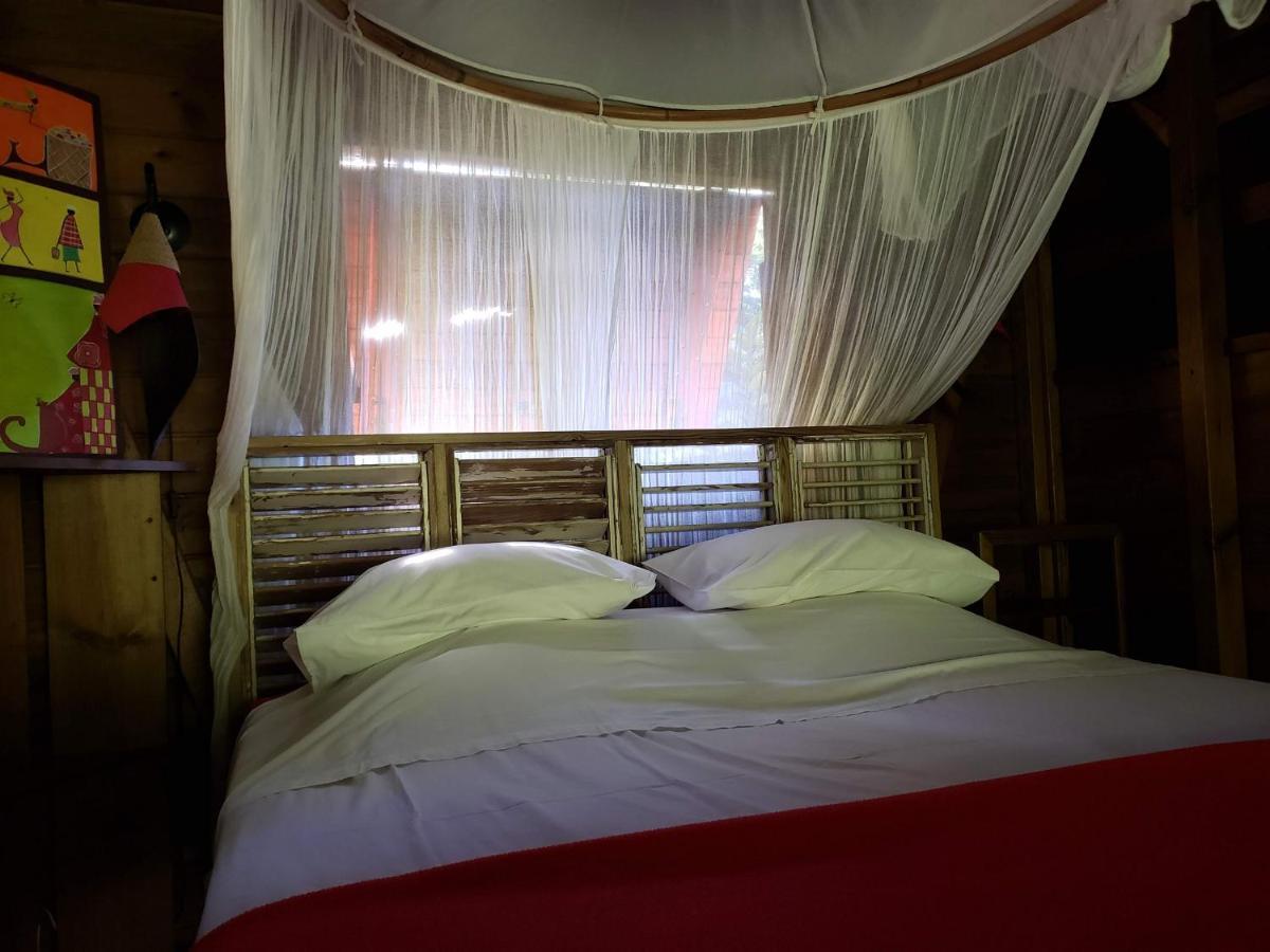 Les Bananes Vertes Ecolodges Saint-Claude Luaran gambar
