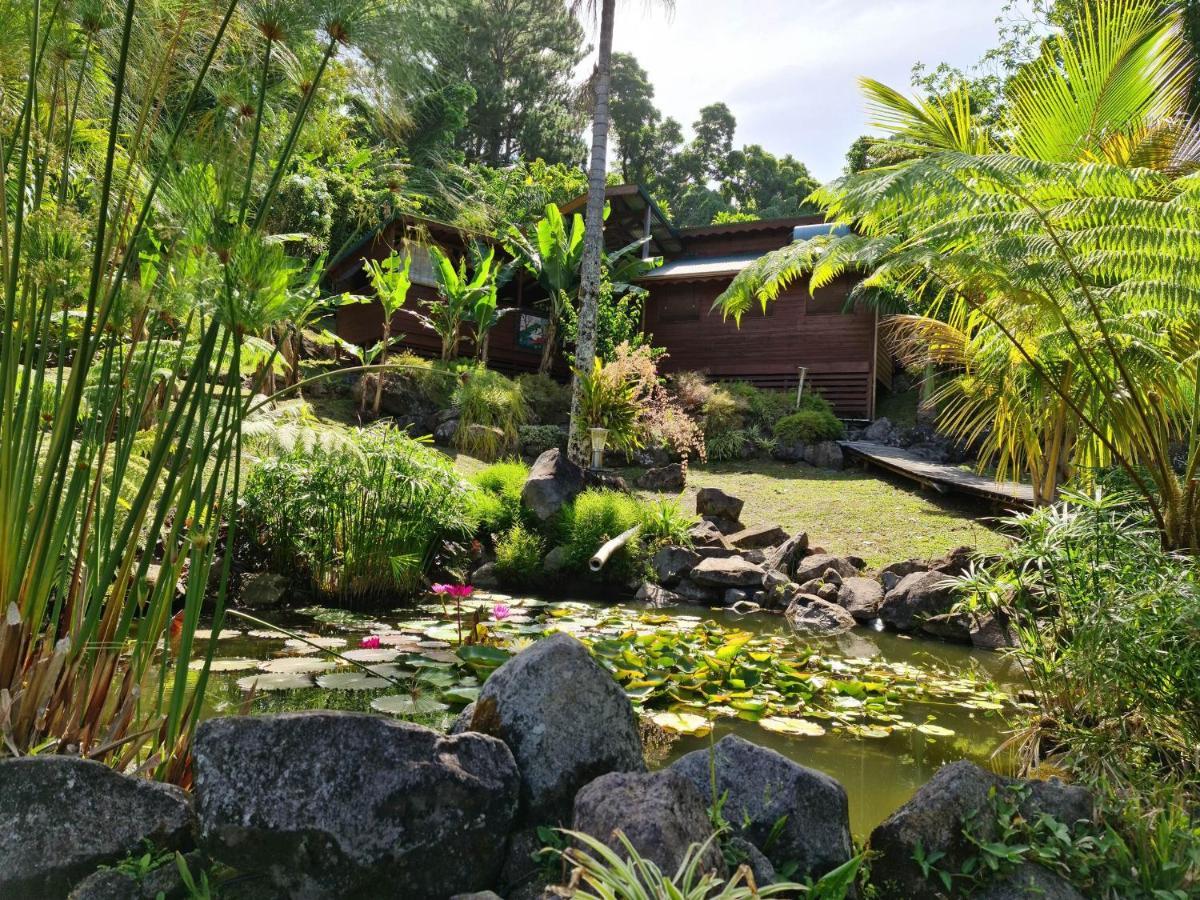 Les Bananes Vertes Ecolodges Saint-Claude Luaran gambar