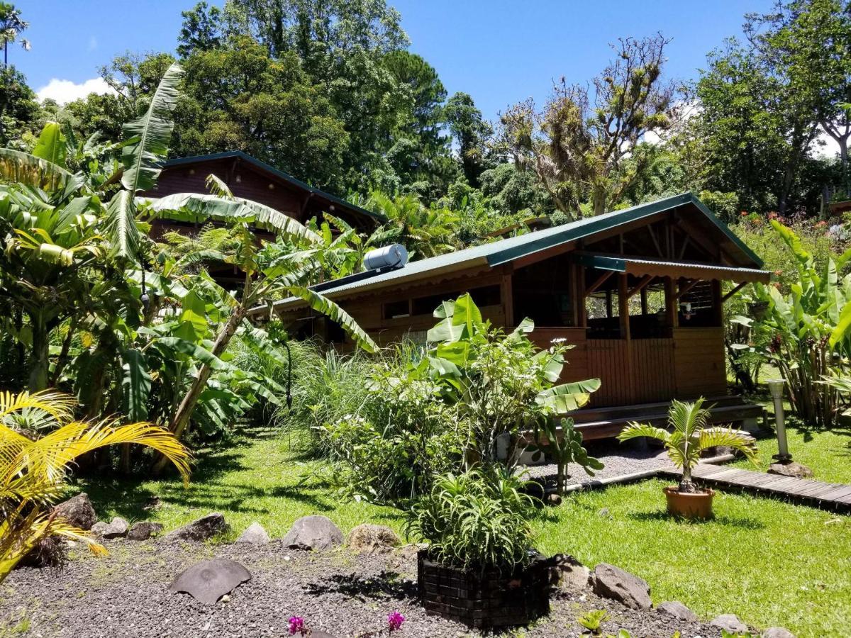 Les Bananes Vertes Ecolodges Saint-Claude Luaran gambar