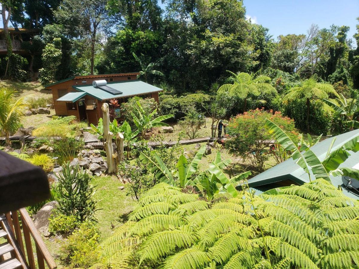 Les Bananes Vertes Ecolodges Saint-Claude Luaran gambar