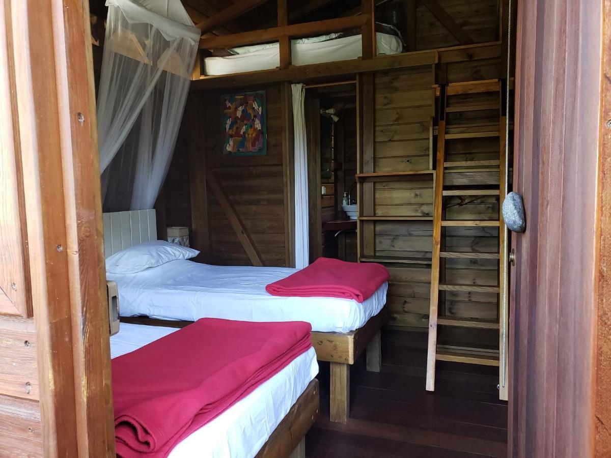 Les Bananes Vertes Ecolodges Saint-Claude Luaran gambar