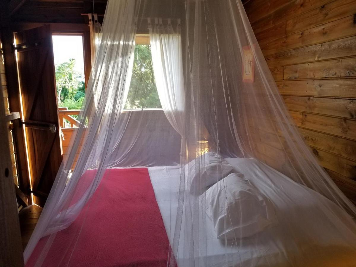 Les Bananes Vertes Ecolodges Saint-Claude Luaran gambar