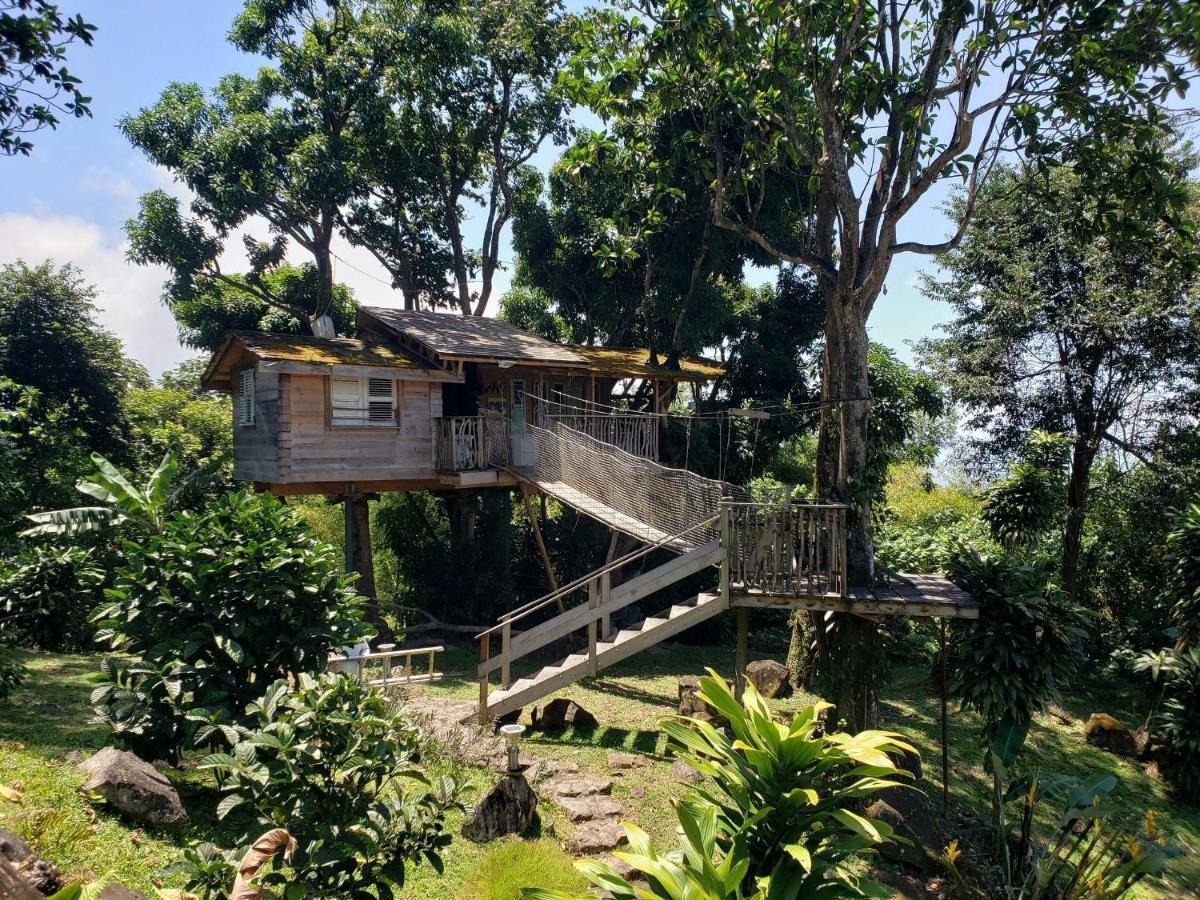 Les Bananes Vertes Ecolodges Saint-Claude Luaran gambar