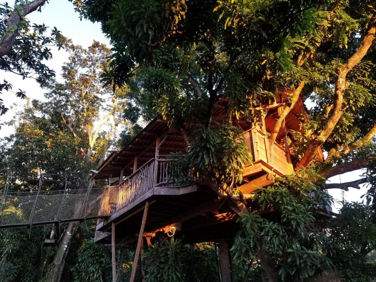 Les Bananes Vertes Ecolodges Saint-Claude Luaran gambar