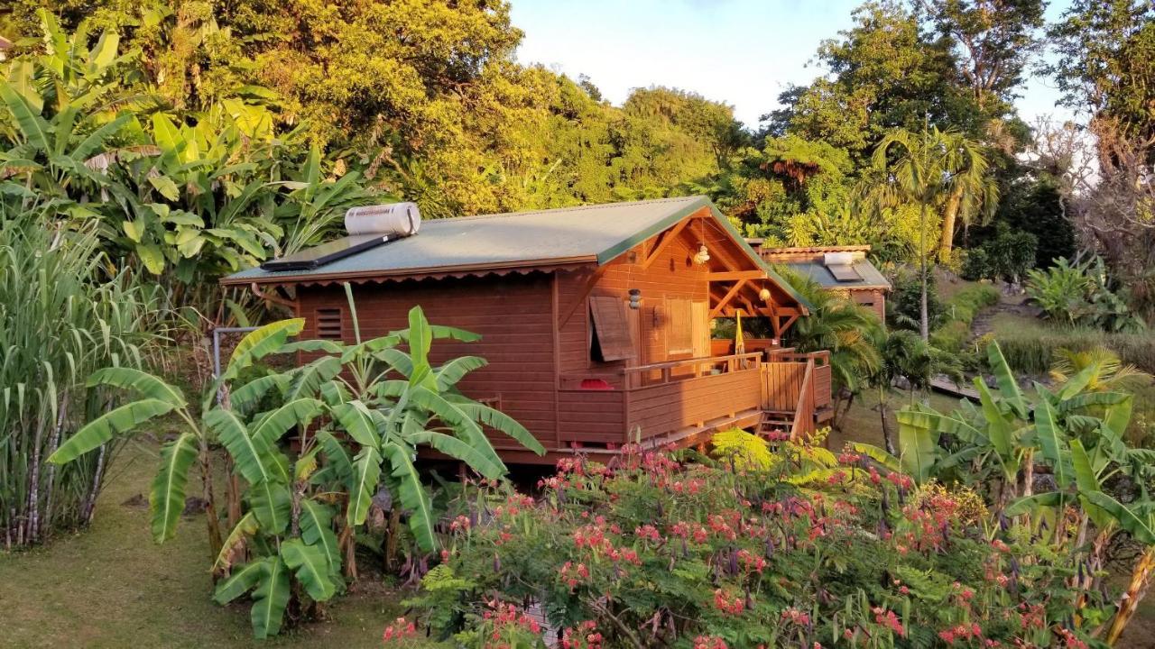 Les Bananes Vertes Ecolodges Saint-Claude Luaran gambar