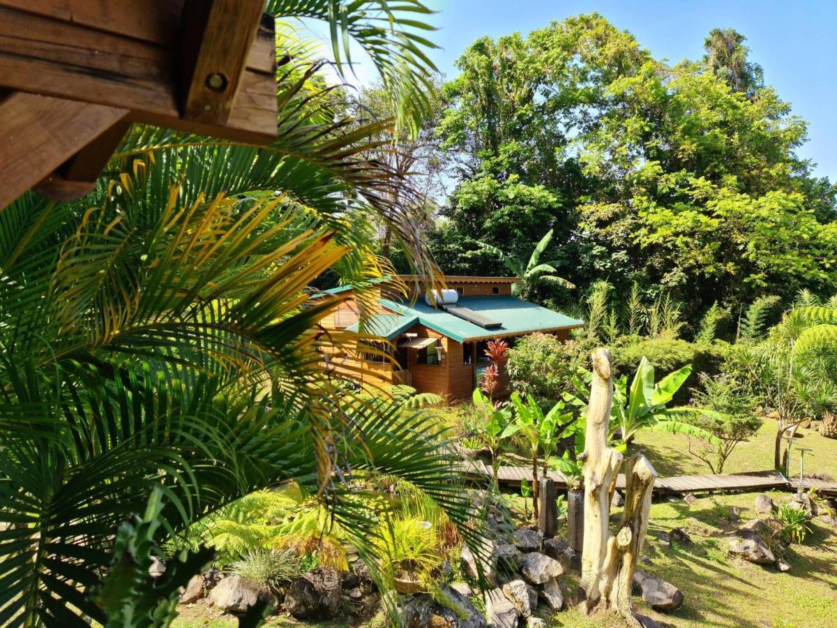 Les Bananes Vertes Ecolodges Saint-Claude Luaran gambar