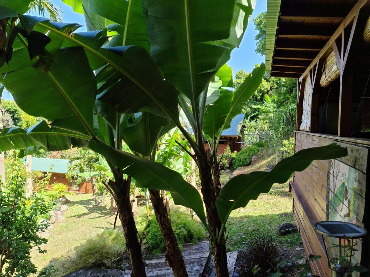 Les Bananes Vertes Ecolodges Saint-Claude Luaran gambar