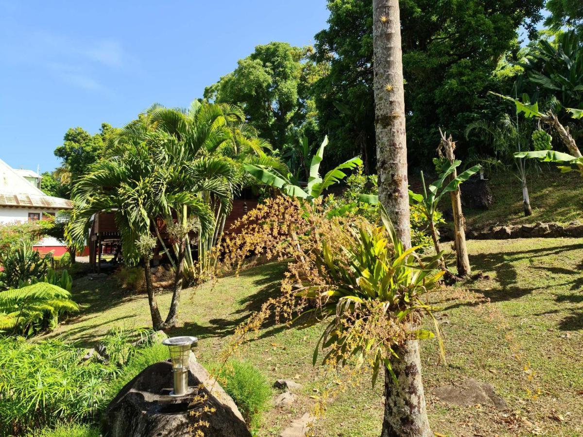 Les Bananes Vertes Ecolodges Saint-Claude Luaran gambar