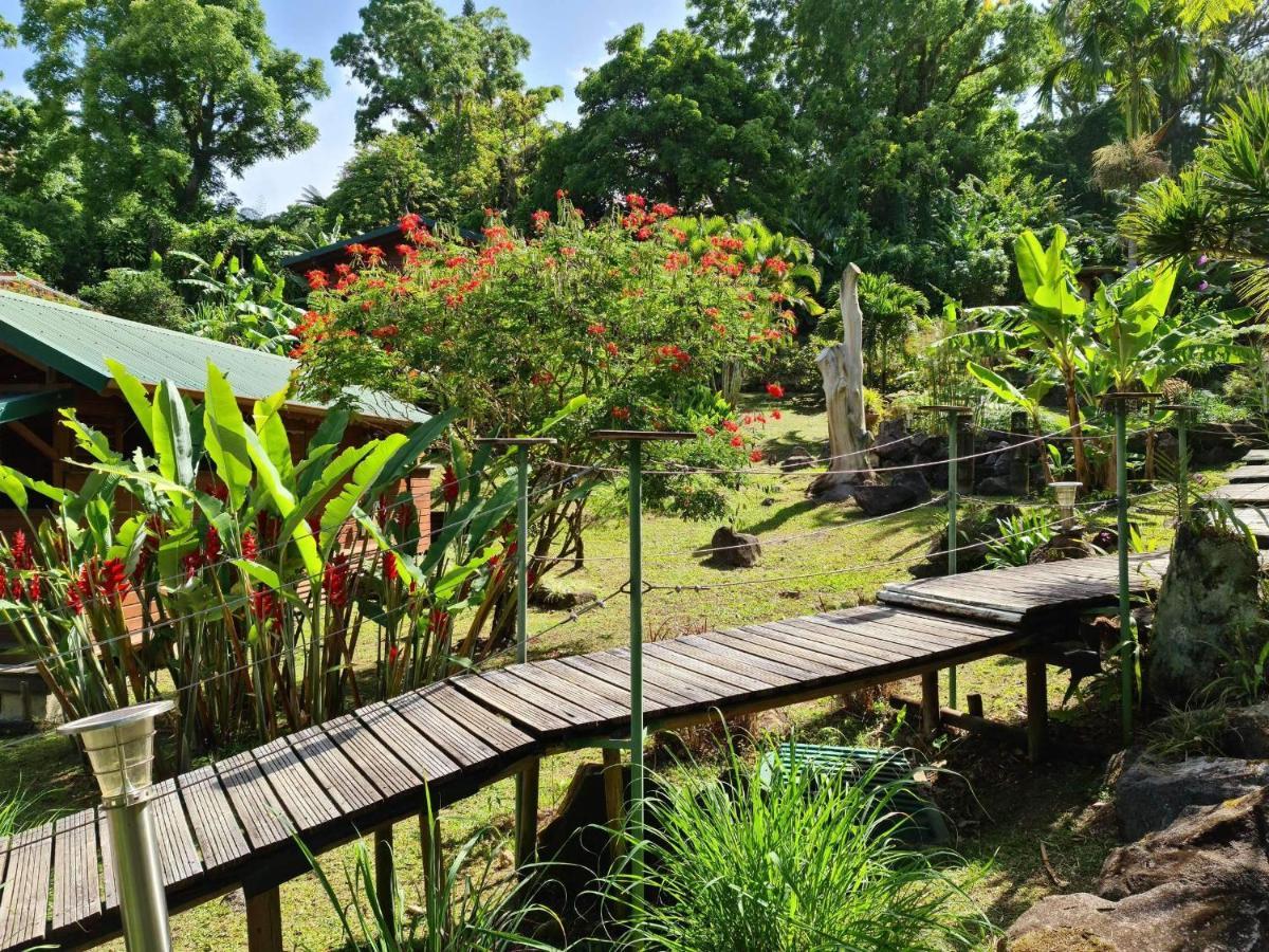Les Bananes Vertes Ecolodges Saint-Claude Luaran gambar