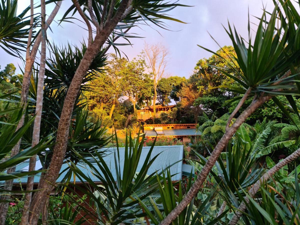 Les Bananes Vertes Ecolodges Saint-Claude Luaran gambar