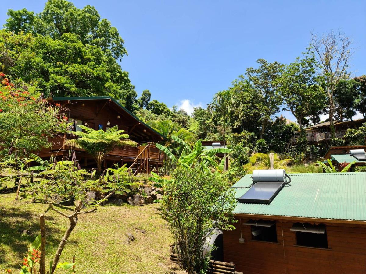 Les Bananes Vertes Ecolodges Saint-Claude Luaran gambar
