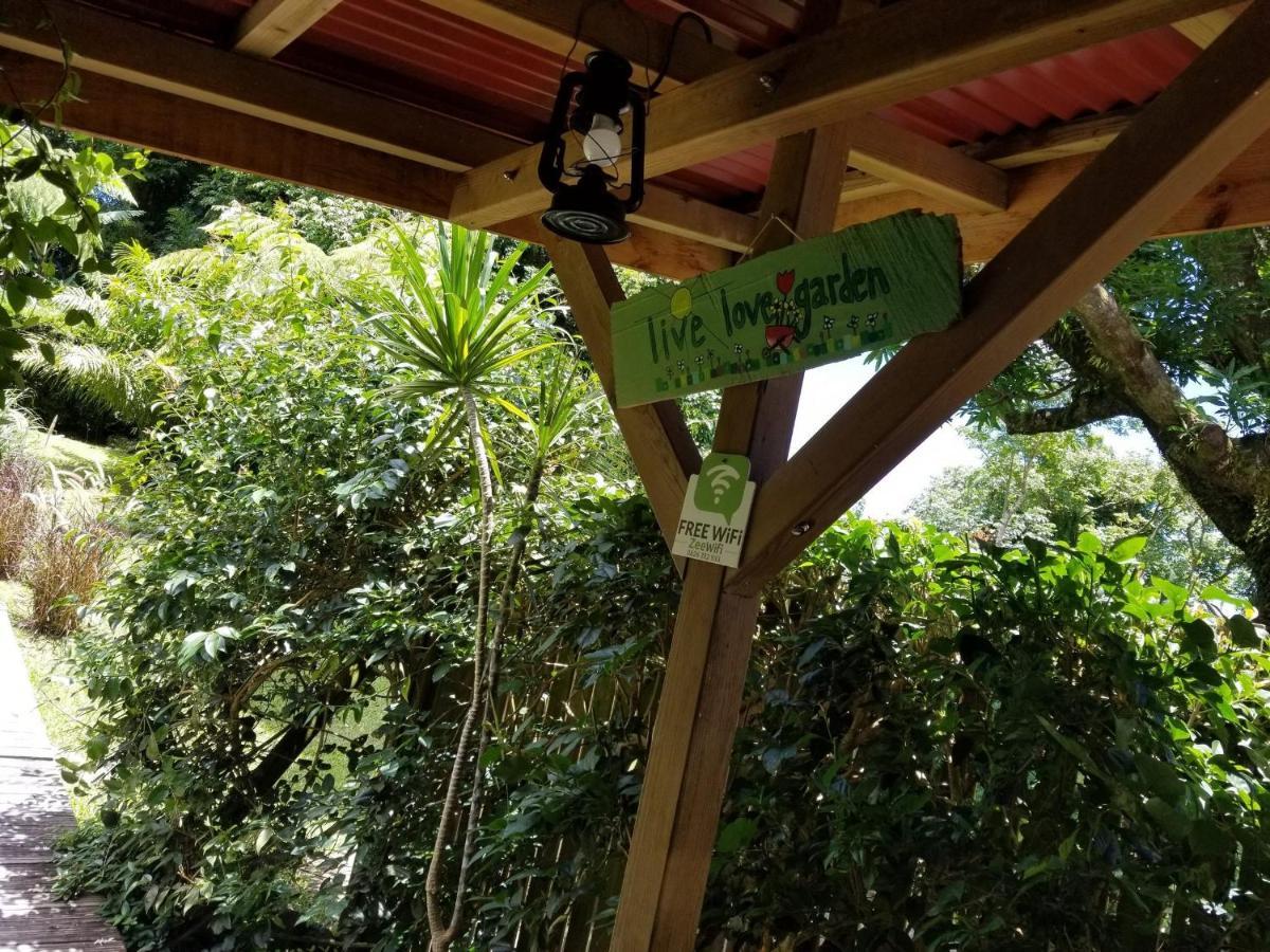 Les Bananes Vertes Ecolodges Saint-Claude Luaran gambar
