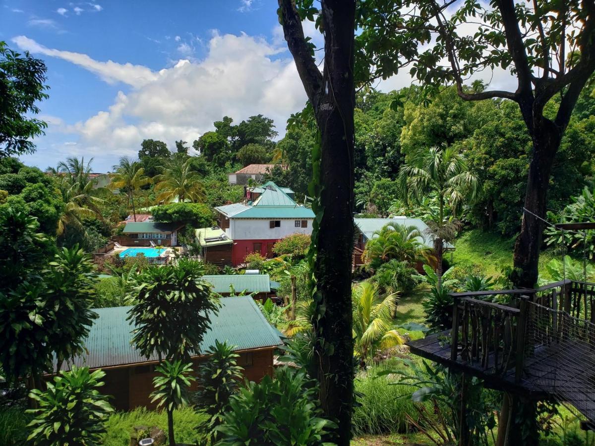 Les Bananes Vertes Ecolodges Saint-Claude Luaran gambar