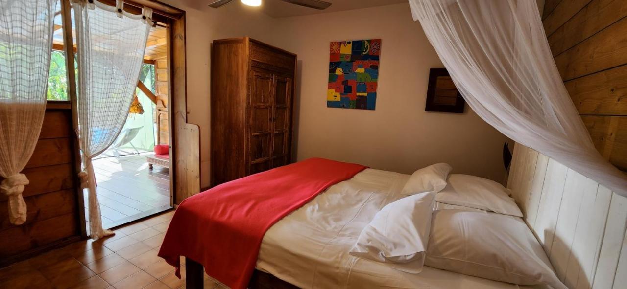 Les Bananes Vertes Ecolodges Saint-Claude Luaran gambar