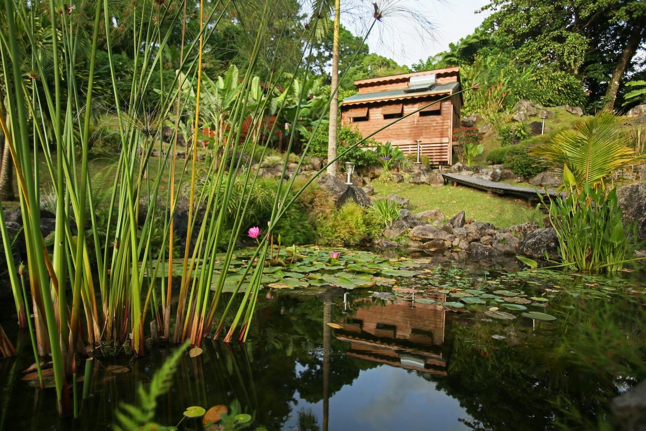 Les Bananes Vertes Ecolodges Saint-Claude Luaran gambar
